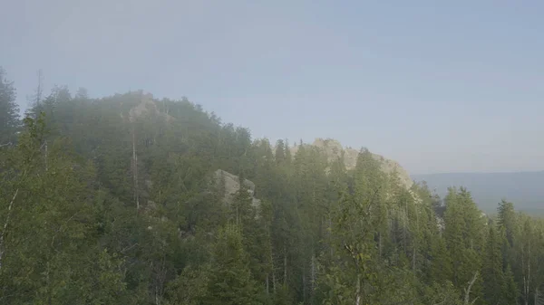 Κορυφές των βουνών θέα βουνό δασικά δέντρα. Ορεινό τοπίο και το δάσος στην ομίχλη. Όμορφο δάσος και το βουνό — Φωτογραφία Αρχείου