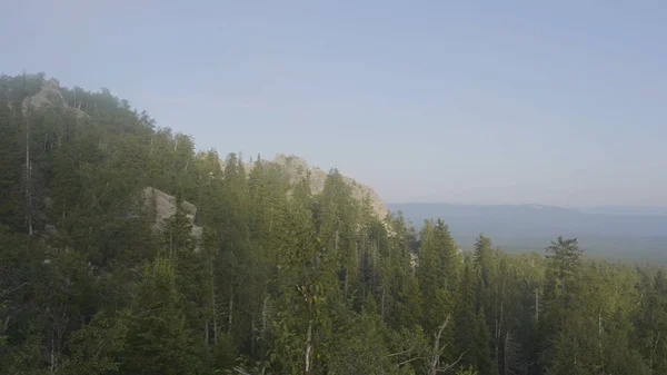 Mountain peaks view mountain forest trees. Mountainous terrain and forest in the fog. Beautiful forest and mountain