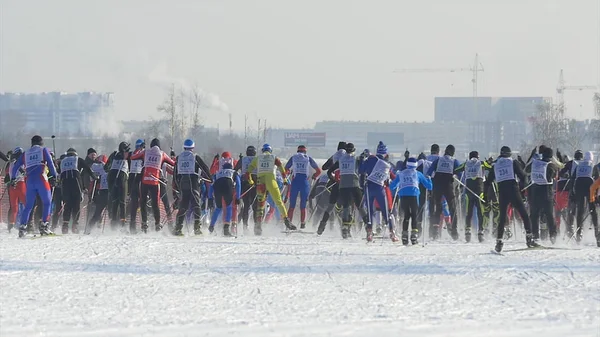 Лыжники на чемпионате мира по лыжным гонкам — стоковое фото