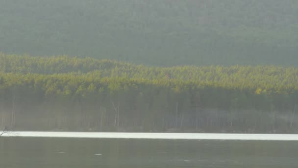 Bela água azul clara na margem do lago. Vista do lago da floresta — Vídeo de Stock