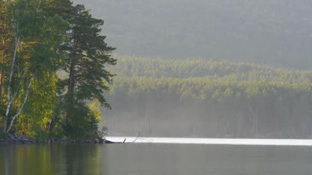 Schöne Teiche mit Bäumen und Spiegelungen vom Himmel. helle Herbstbäume und ihre Spiegelungen im Licht der Abendsonne. Herbst Waldsee Himmel — Stockvideo