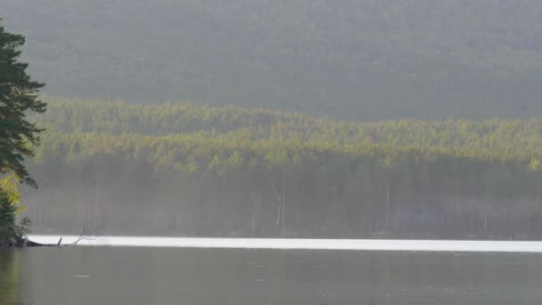 Lagoas bonitas com árvores e reflexões do céu. Árvores brilhantes do outono e seus reflexos na luz do sol da noite. Outono floresta lago céu — Vídeo de Stock