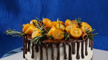 Bir bisküvi pasta önden görünümü. Meyve ve çiçekler ile pasta. Ön görünüm tanımlama bilgisi ve kremalı pasta kapatın. Çikolatalı kek ve kurabiye krem tepesi kakao dekore edilmiştir.