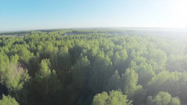 Skogen i solig dag antenn. Trä och blå himmel Visa fron himlen. Flygfoto på vackra stora skog i höst, i höst — Stockfoto