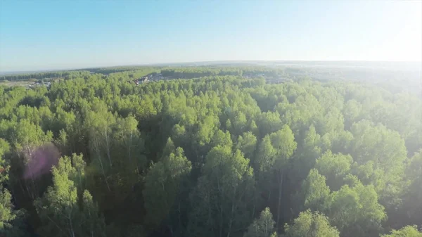 Skogen i solig dag antenn. Trä och blå himmel Visa fron himlen. Flygfoto på vackra stora skog i höst, i höst — Stockfoto