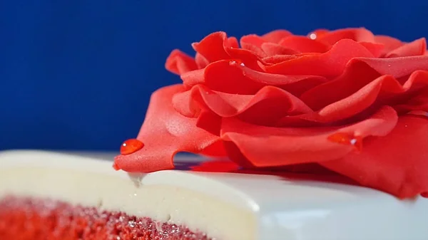 Torta bianca con ornamenti di cioccolato e marzapane rosso rosa su sfondo blu scuro. torta decorata con rose rosse commestibili da vicino — Foto Stock