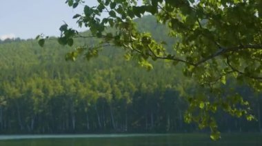 Bir yaz akşamında günbatımı sırasında gölün güzel bir manzara. Bazı bulutlar hala sudan yansıtan. Sunrise Gölü ve çam ağacı üzerinde sis ile.