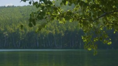 Bir yaz akşamında günbatımı sırasında gölün güzel bir manzara. Bazı bulutlar hala sudan yansıtan. Sunrise Gölü ve çam ağacı üzerinde sis ile.