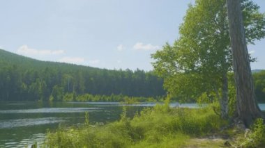 Bir yaz akşamında günbatımı sırasında gölün güzel bir manzara. Bazı bulutlar hala sudan yansıtan. Sunrise Gölü ve çam ağacı üzerinde sis ile.