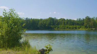 Bir yaz akşamında günbatımı sırasında gölün güzel bir manzara. Bazı bulutlar hala sudan yansıtan. Sunrise Gölü ve çam ağacı üzerinde sis ile.