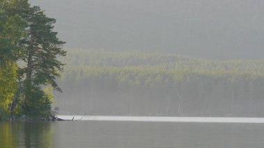 Göl kıyısında güzel mavi temiz su. Ormana lake görünümü