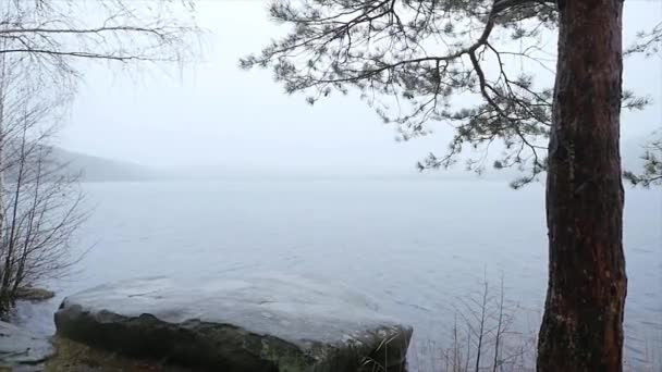 Landskap av träd och snö. Sen höst snö på den sjö i skogen — Stockvideo
