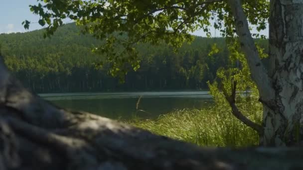 Hermosa agua azul clara en la orilla del lago. Paisaje forestal en la costa reflejado en el agua — Vídeo de stock