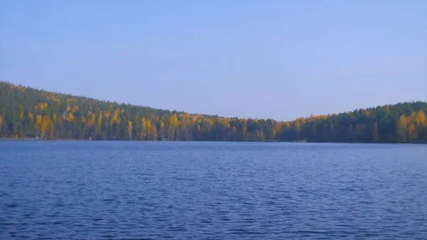 La chica muestra el lago, bosque en el día de verano. la chica muestra el lago y el bosque, la inmensidad de la naturaleza la vista desde la parte posterior. Lago y madera y cielo azul — Foto de Stock