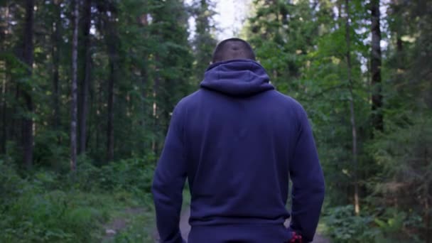 Visão traseira do caminhante masculino em pé na floresta. Jovem encapuzado de pé na floresta e explorando, liberdade e conceito de natureza. Man back arms outstretched, outono — Vídeo de Stock