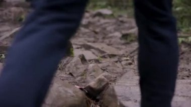 Genç adam ormanda çalışan yerleştirmek. Ormanda çalışan genç atlet