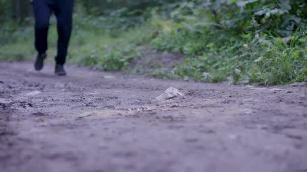 Un giovane uomo in forma che corre nel bosco. Giovane atleta che corre nel bosco — Video Stock