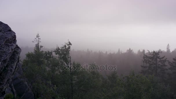 Perspectiva de paisaje natural exterior. Masivas rocas y vista al valle durante el verano. Vista desde las rocas del bosque — Vídeo de stock