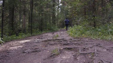 Genç adam ormanda çalışan yerleştirmek. Ormanda çalışan genç atlet