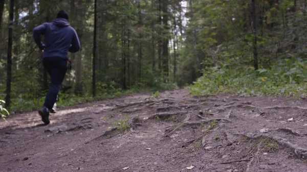 Young passen man loopt in het bos. Jonge atleet lopen in het bos — Stockfoto