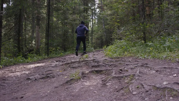 Joven hombre en forma corriendo en el bosque. Joven atleta corriendo en el bosque — Foto de Stock