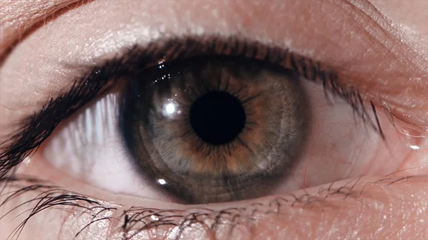 Eye pupil reaction to light. Humans eye macro shot with light-flash apple of eye reaction — Stock Photo, Image
