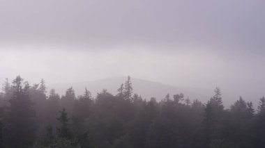 Açık doğal peyzaj perspektif. Büyük kayalar ve vadi yaz saati sırasında görünümüne. Orman kayalardan görüntülemek