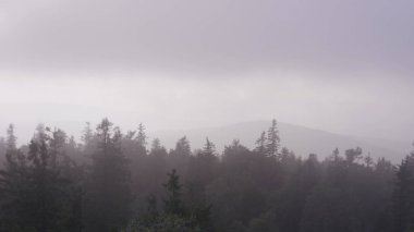 Açık doğal peyzaj perspektif. Büyük kayalar ve vadi yaz saati sırasında görünümüne. Orman kayalardan görüntülemek