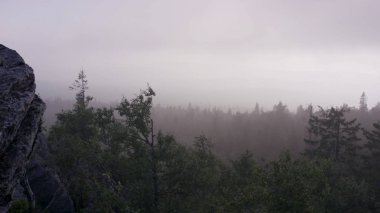 Açık doğal peyzaj perspektif. Büyük kayalar ve vadi yaz saati sırasında görünümüne. Orman kayalardan görüntülemek