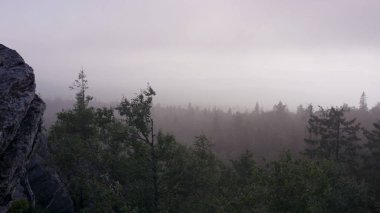 Açık doğal peyzaj perspektif. Büyük kayalar ve vadi yaz saati sırasında görünümüne. Orman kayalardan görüntülemek