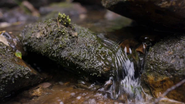 Πιτσίλισμα νερού στον ποταμό. Νερό στο ποτάμι που κλείνουν με φυσαλίδες. Φυσαλίδες νερού επιπλέουν στην επιφάνεια του ποταμού κοντινό πλάνο — Φωτογραφία Αρχείου