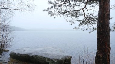 ağaçlar ve kar manzara. Ormana Gölü geç sonbahar kar