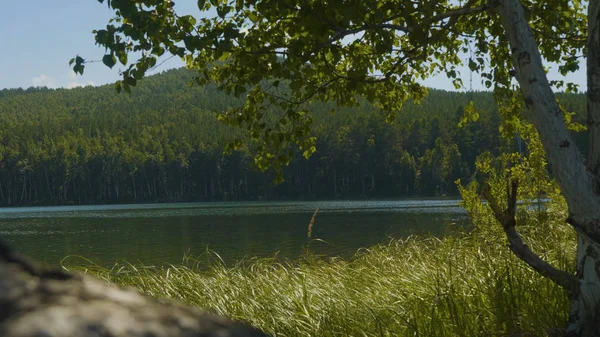 Piękne niebieski czystej wody na brzegu jeziora. Krajobraz las wybrzeżu odbicie w wodzie — Zdjęcie stockowe