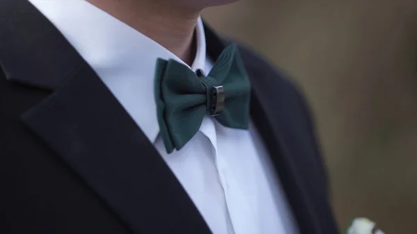 Primer plano en nerd, hombre con pajarita. Manos de hombre toca pajarita en un traje o esmoquin. hombre con camisa y pajarita —  Fotos de Stock