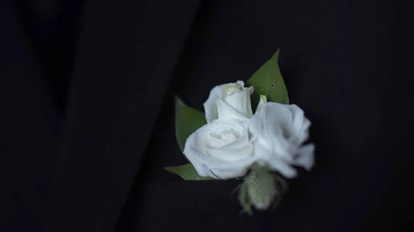 Bílá květina v jeho sako kapsa closeup. Ženicha boutonniere upraví ruku v kapse saka. Stylový a klasický ženicha a podrobnosti o jeho oblečení: modrá bunda, motýlek, bílé tričko — Stock fotografie