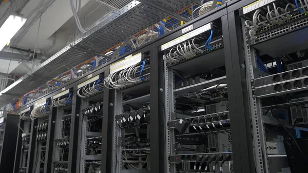 Row of bitcoin miners set up on the wired shelfs. Computer for Bitcoin mining. cables plug to motherboard for mining machine. Cryptocurrency computer with many peripheral slots