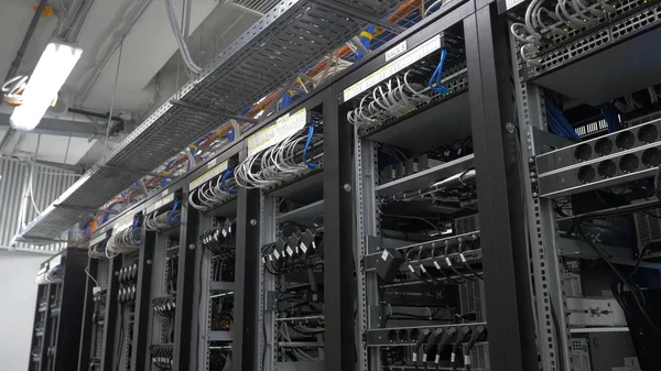 Row of bitcoin miners set up on the wired shelfs. Computer for Bitcoin mining. cables plug to motherboard for mining machine. Cryptocurrency computer with many peripheral slots