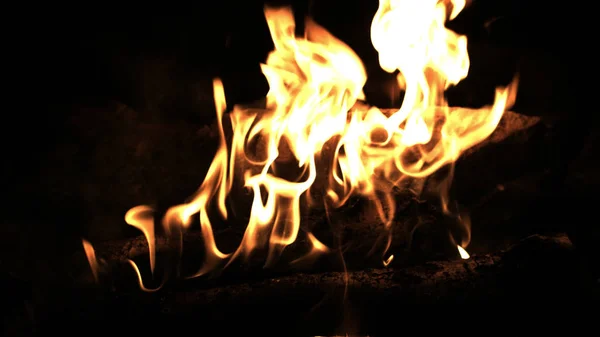 Quemando leña en el fuego. Fuego de campamento en la noche. Llamas de fuego. Fuego forestal de cerca —  Fotos de Stock