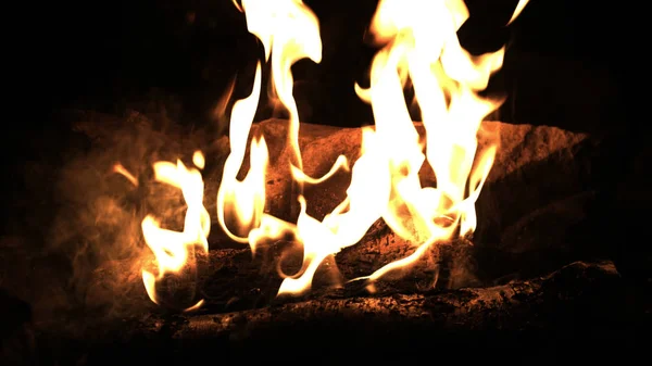 Brucia legna nel fuoco. Fuoco del campo di notte. Fiamme di fuoco. Incendio forestale da vicino — Foto Stock