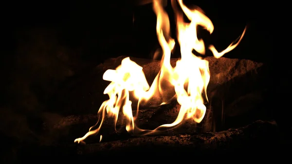 Holz im Feuer verbrennen. Lagerfeuer in der Nacht. Feuerflammen. Waldbrand hautnah — Stockfoto