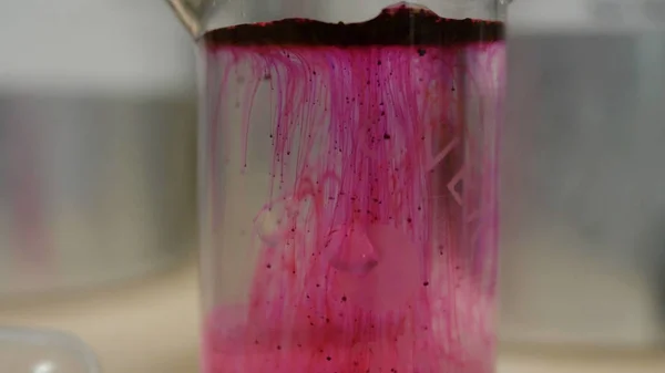 Gekleurde mooie chemische reactie in de kolf. Roze of rode vloeistof oplost in de kolf. Roze kwestie in de kolf. Roze of rode vloeistof oplost in de kolf — Stockfoto
