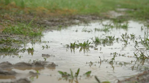 Personne avec des bottes roses et des éclaboussures de parapluie bleu dans la flaque. fille en imperméable et bottes en caoutchouc sauter dans la flaque d'eau. bottes en caoutchouc vient dans une flaque d'eau — Photo