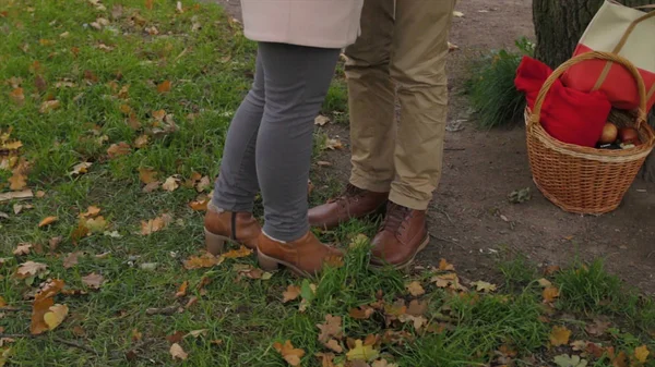 Blick auf ein verliebtes Paar, das sich im Herbst im Park küsst. Liebespaar tauscht Zärtlichkeit im Herbstpark aus. Liebes Paar. — Stockfoto