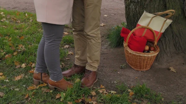 愛情のあるカップル公園でキス、秋の様子秋の公園で優しさの交換夫婦。素敵なカップル. — ストック写真