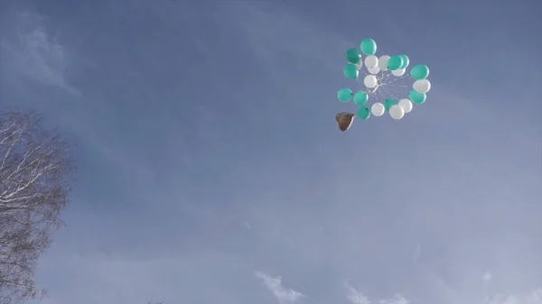 Balões de festa de aniversário azul voando. Uma plantação de balões azuis no céu. Balões de ar rosa e amarelo voam alto no céu. Dia ensolarado com nuvens brancas fofas . — Fotografia de Stock