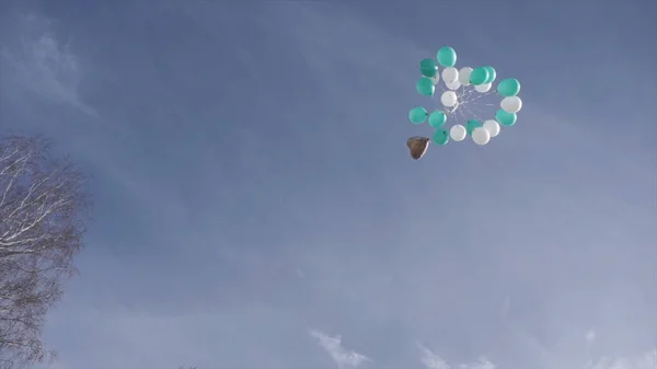 Les ballons bleus de fête d'anniversaire volent. Une plantation de ballons bleus dans le ciel. Des ballons à air rose et jaune volent haut dans le ciel. Journée ensoleillée avec nuages blancs et pelucheux . — Photo