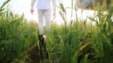 Kaygısız arkadaş birlikte yeşil çayır üzerinde yürüme. Otların arasında çalışan iki arkadaş