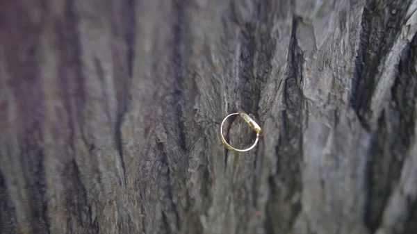 Anillos de boda en madera. el anillo de boda sobre fondo de madera. Anillos de boda sobre fondo viejo de madera. viejos anillos de boda sobre fondo arbolado — Foto de Stock