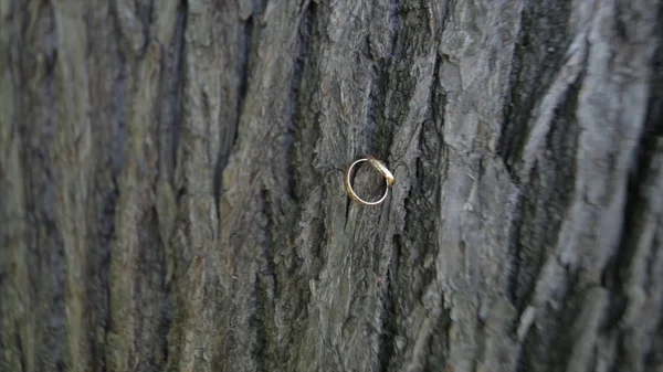 Ahşap nikah yüzükleri. Alyans ahşap arka plan üzerinde. Eski ahşap arka plan üzerinde alyans. ormanlık arka plan üzerinde eski alyans — Stok fotoğraf