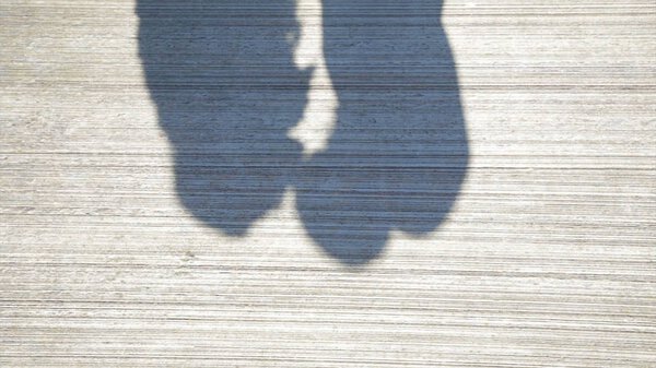 Couple Kissing Shadow. Shadows of Lover Bride and Groom on white wall. Couple Kissing Shadow